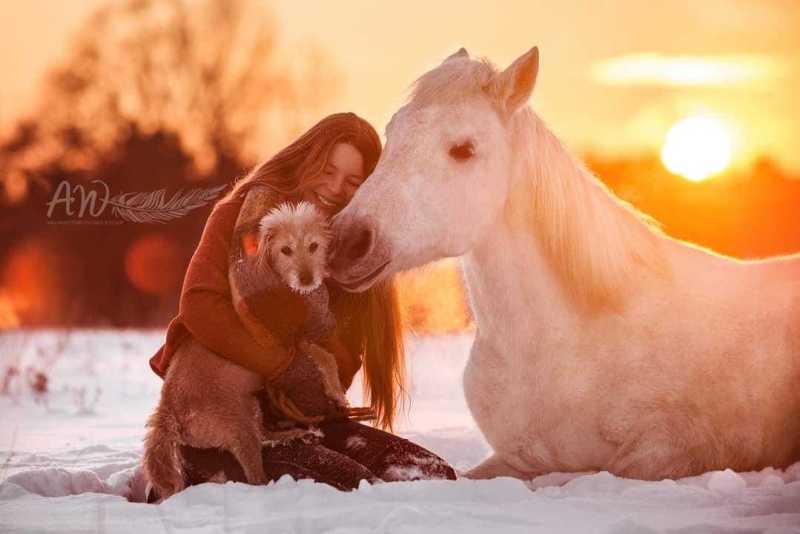 ANJA-WILBS_Tierfotografie_Schneebild_49