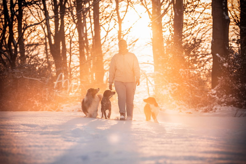 ANJA-WILBS_Tierfotografie_Schneebild_5