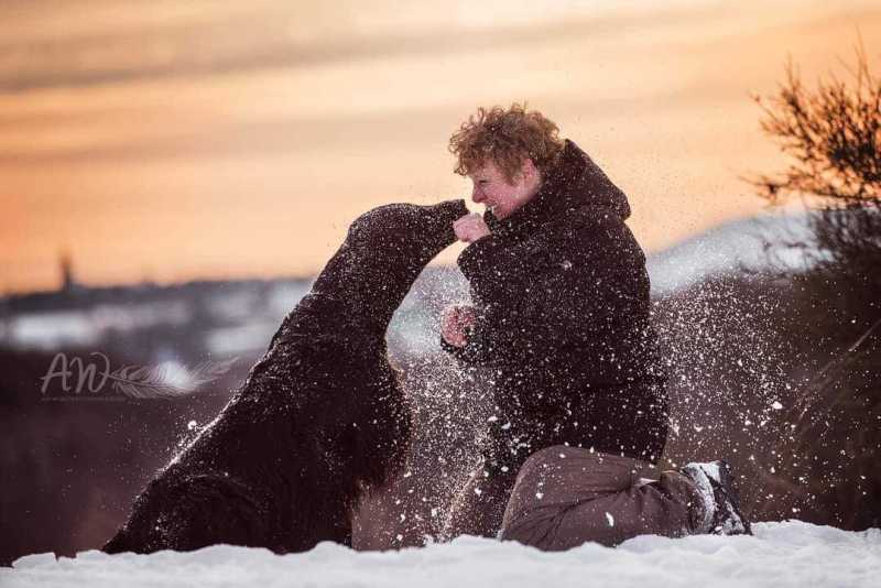 ANJA-WILBS_Tierfotografie_Schneebild_51