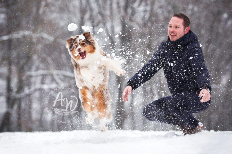 ANJA-WILBS_Tierfotografie_Schneebild_67