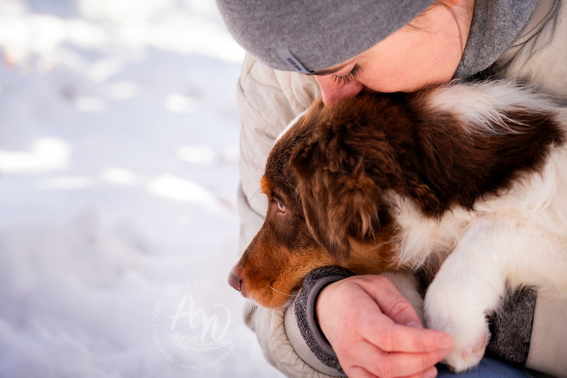 ANJA-WILBS_Tierfotografie_Schneebild_79