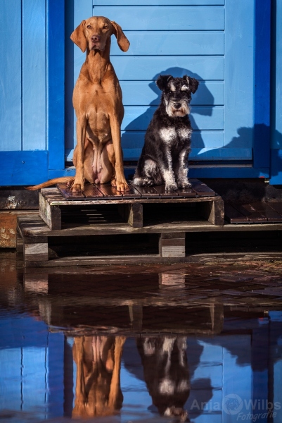 Texel-Shootings_Anja-Wilbs_112