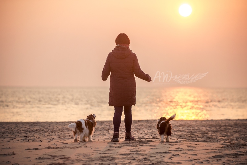 Texel-Shootings_Anja-Wilbs_114