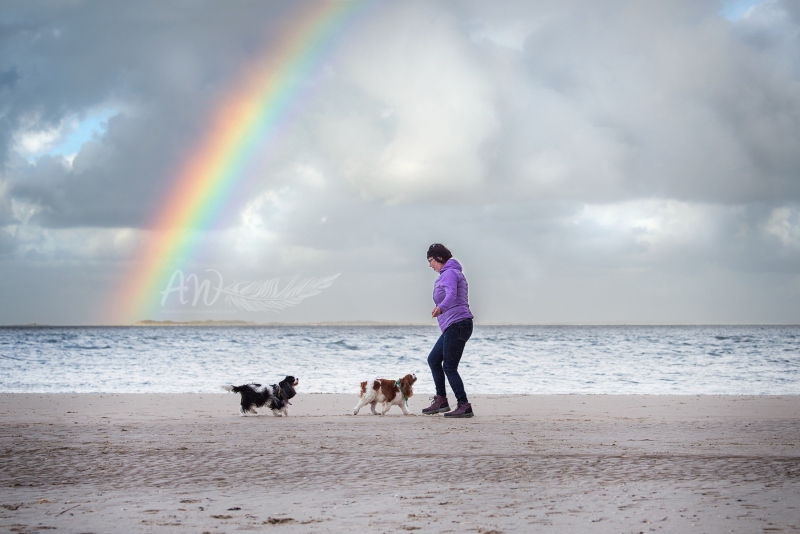 Texel-Shootings_Anja-Wilbs_115