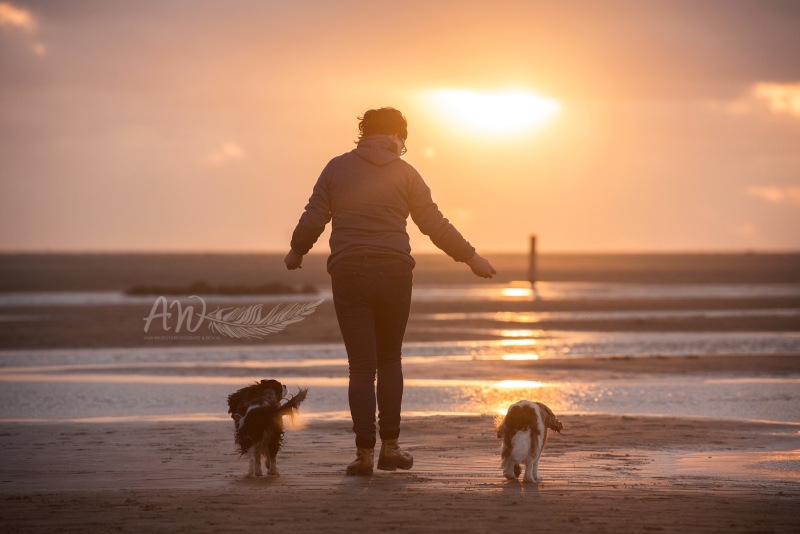 Texel-Shootings_Anja-Wilbs_15