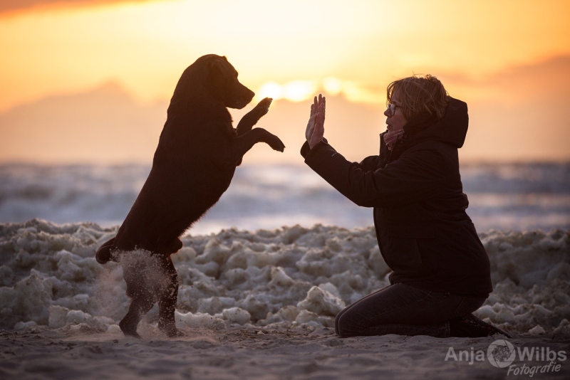 Texel-Shootings_Anja-Wilbs_19