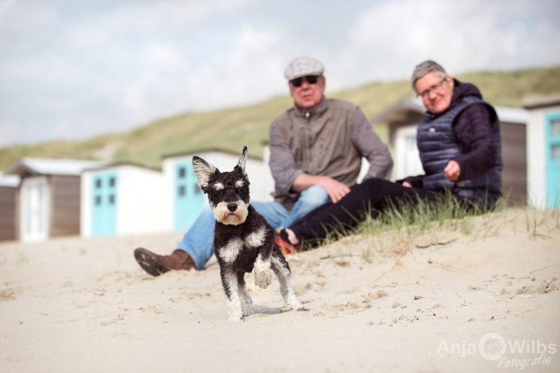 Texel-Shootings_Anja-Wilbs_39