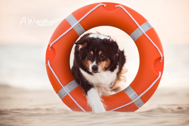 Texel-Shootings_Anja-Wilbs_47