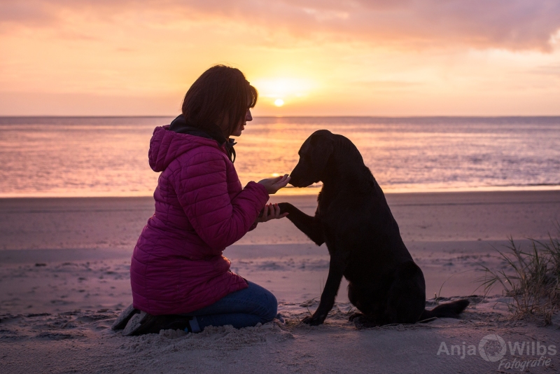 Texel-Shootings_Anja-Wilbs_61