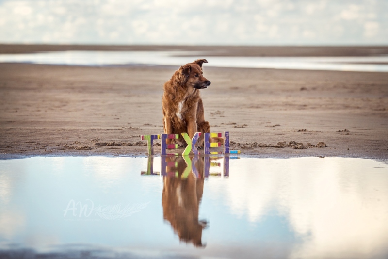 Texel-Shootings_Anja-Wilbs_68