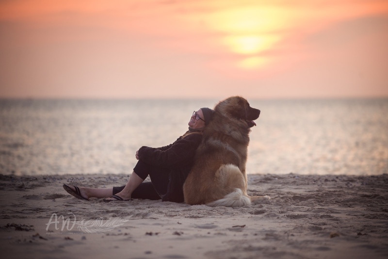 Texel-Shootings_Anja-Wilbs_69