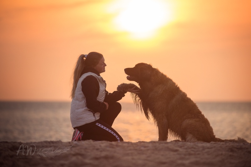 Texel-Shootings_Anja-Wilbs_71