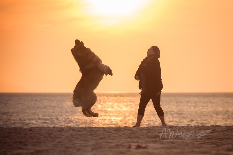 Texel-Shootings_Anja-Wilbs_74