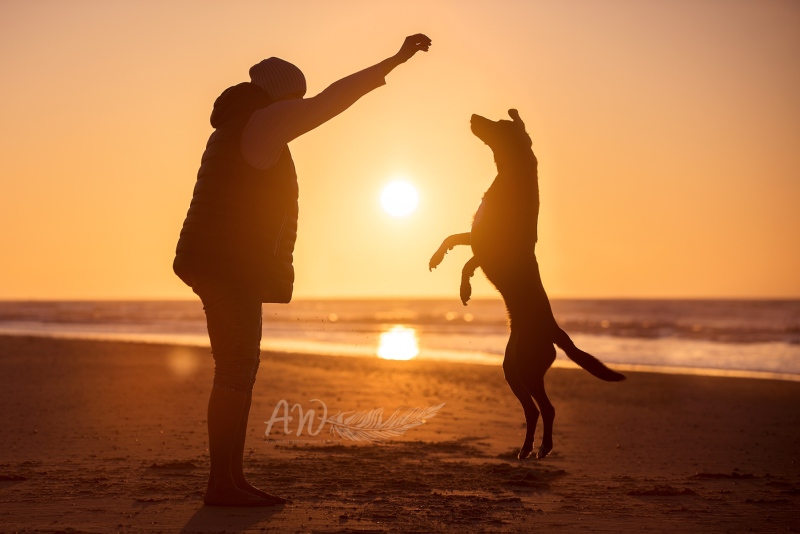 Texel-Shootings_Anja-Wilbs_77