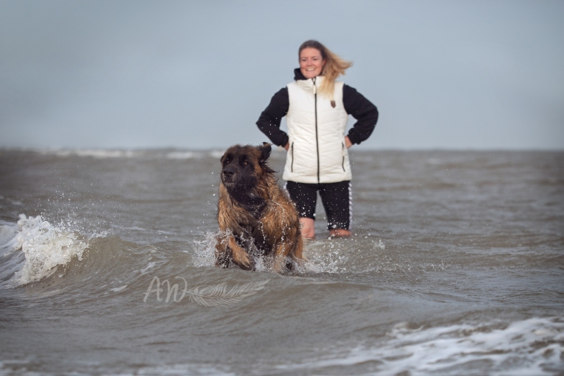 Texel-Shootings_Anja-Wilbs_78