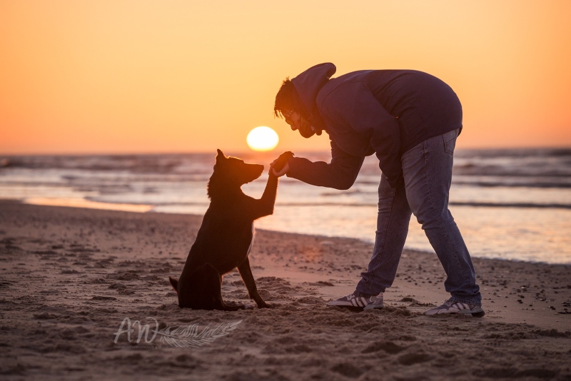 Texel-Shootings_Anja-Wilbs_79