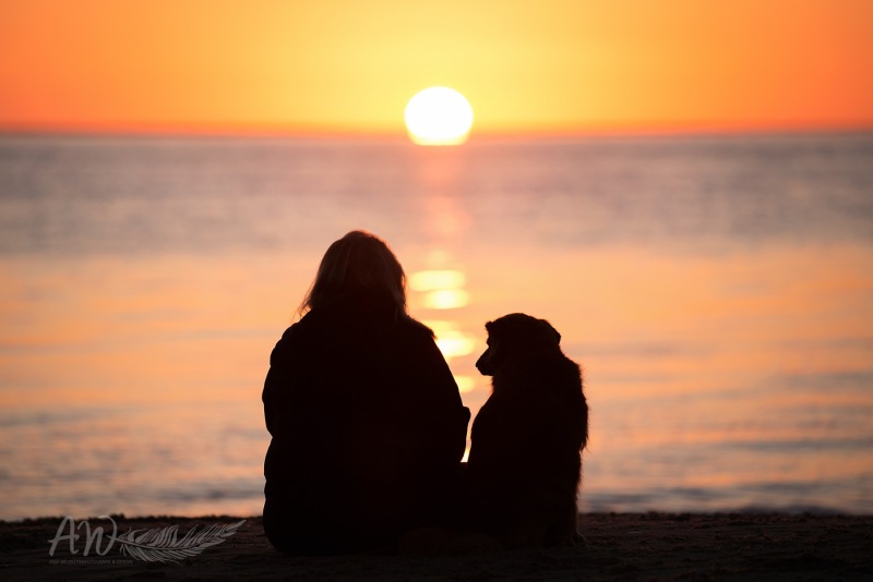 Texel-Shootings_Anja-Wilbs_89