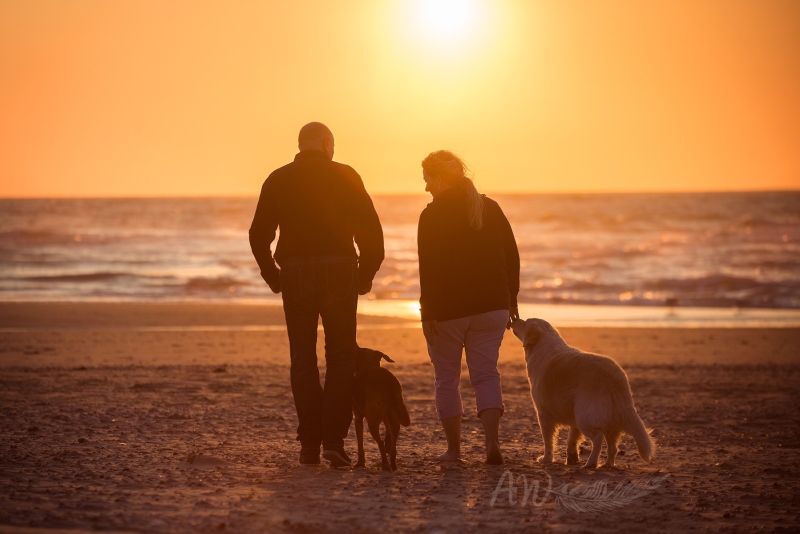 Texel-Shootings_Anja-Wilbs_90