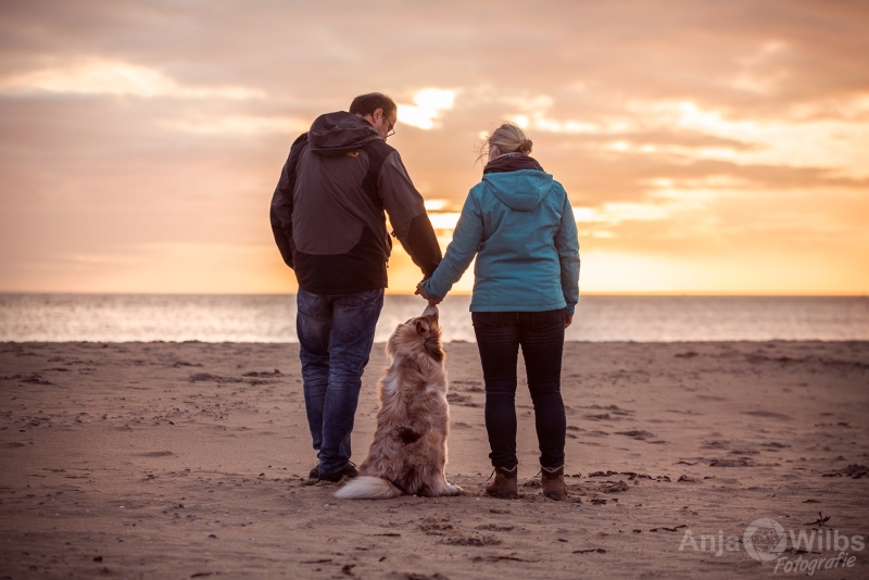 Texel-Shootings_Anja-Wilbs_92