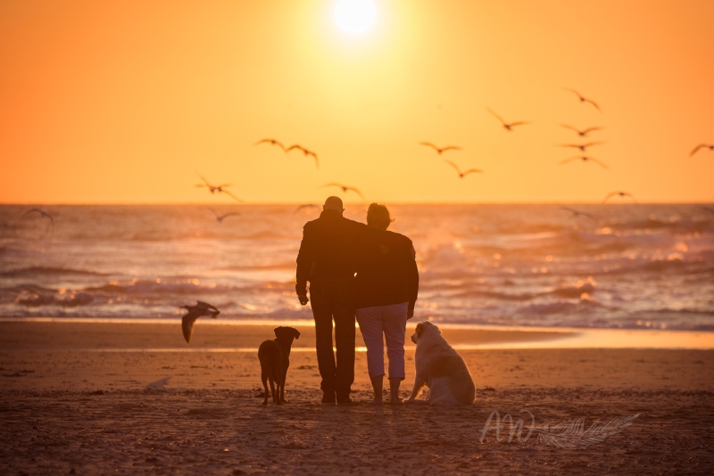Texel-Shootings_Anja-Wilbs_94