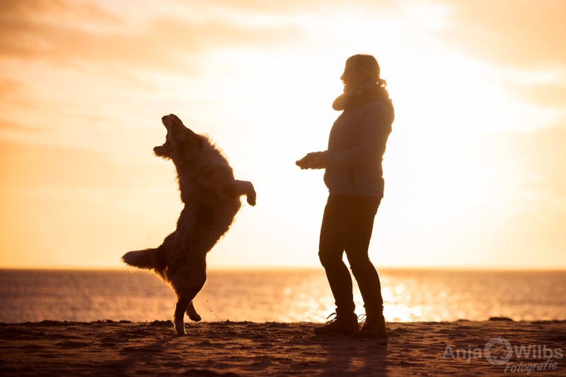 Texel-Shootings_Anja-Wilbs_97