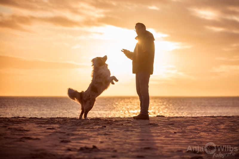 Texel-Shootings_Anja-Wilbs_98