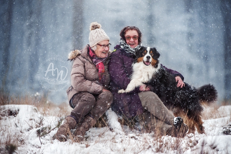 Anja-Wilbs-Tierfotografie_Australian-Shepherd_9