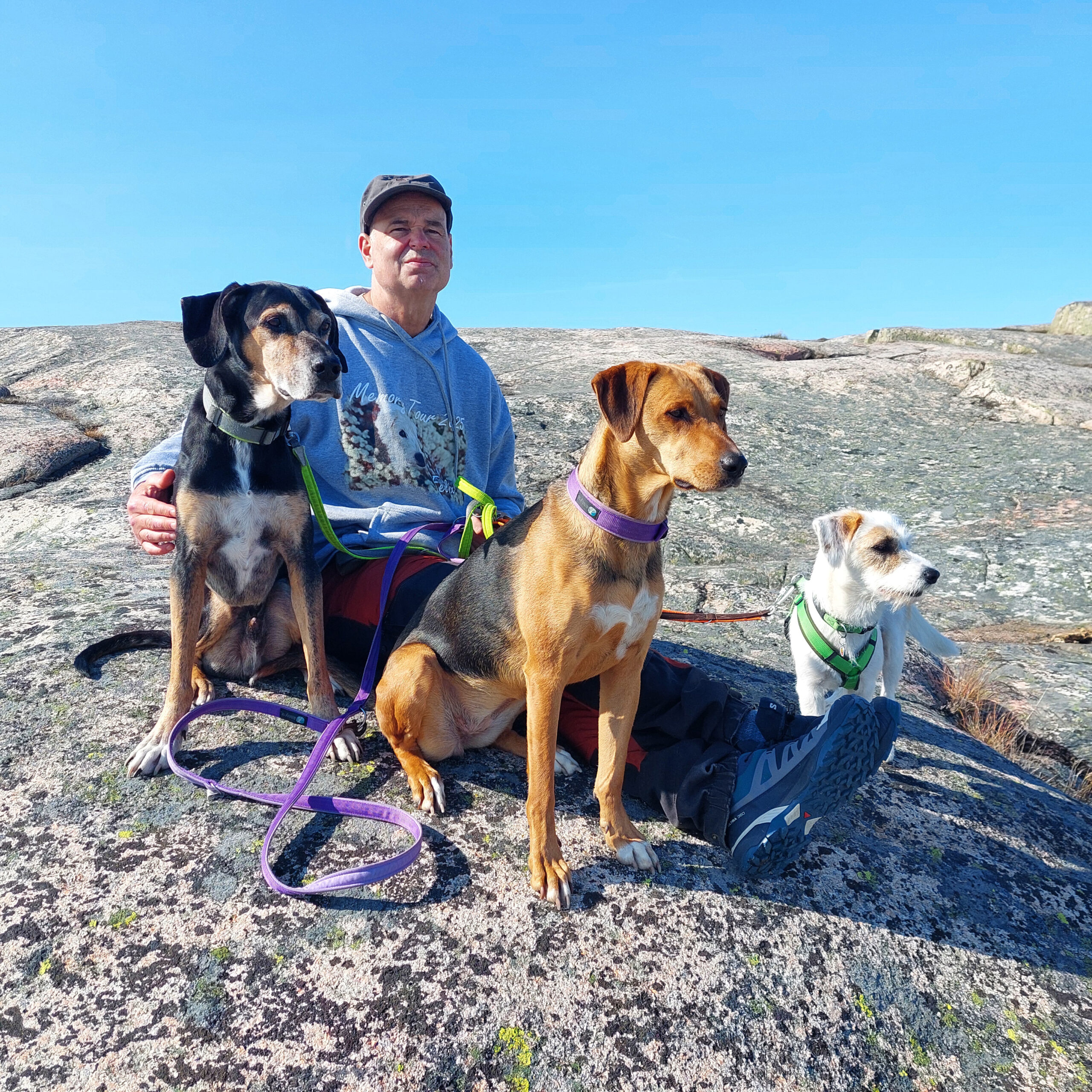 20250531_170011_Ylvi Norwegen