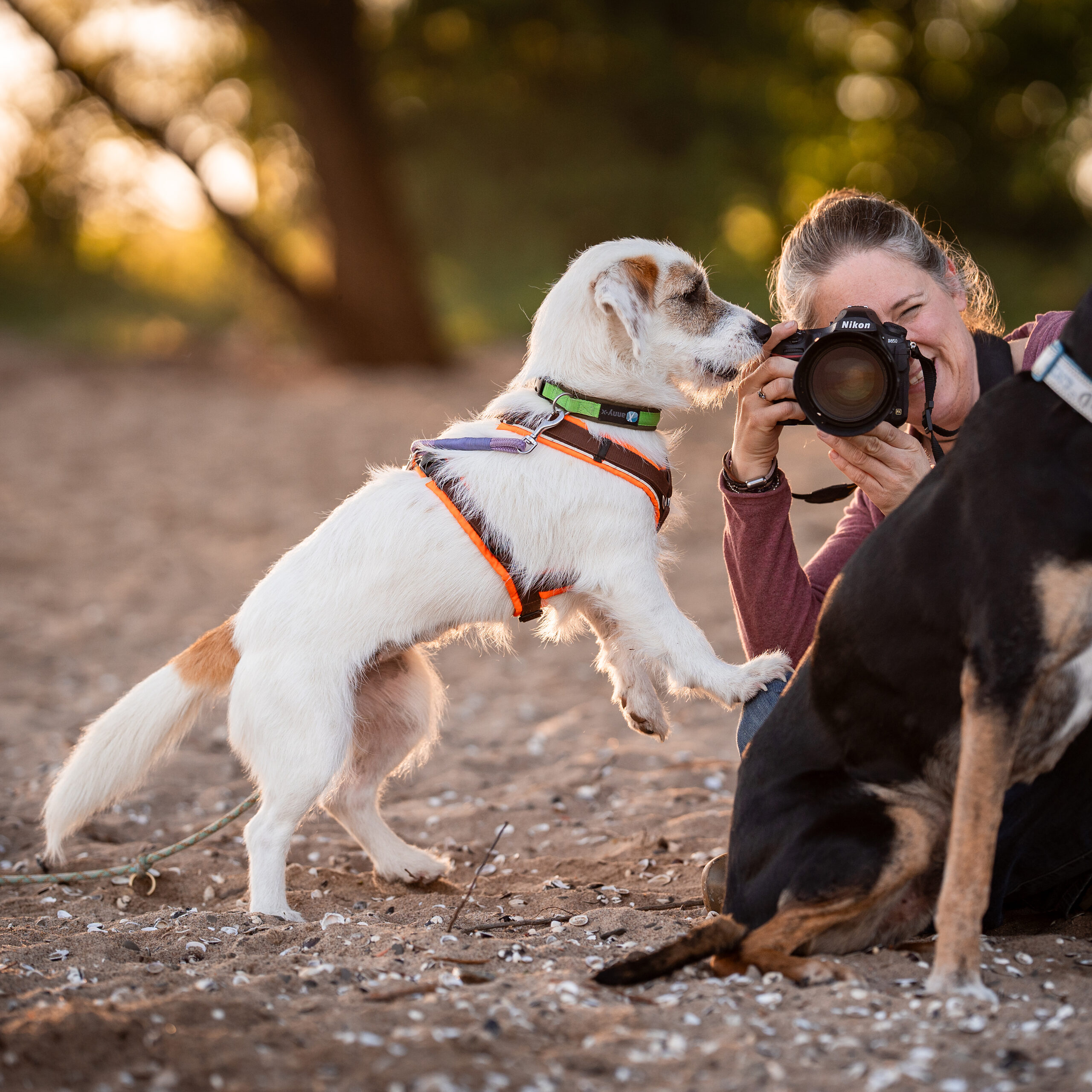 DSC00473_Ylvi_Foto-Shooting